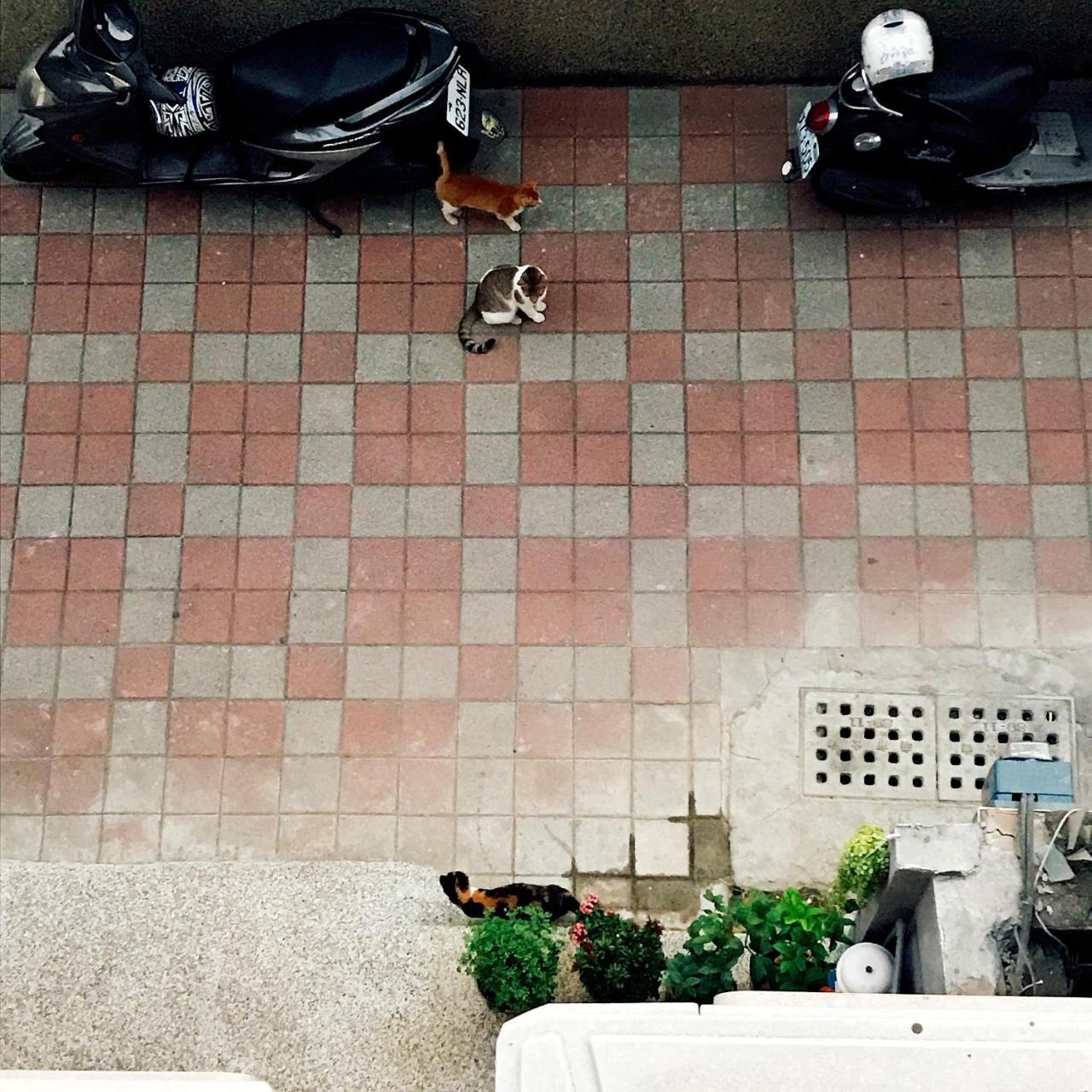 A Fat At Home Tainan Exterior foto